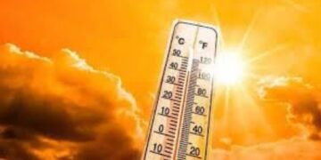 BeFunky collage 2026 02 16T081616.026