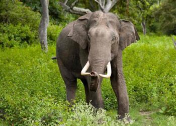 BeFunky collage 2026 02 16T134202.036