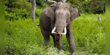 BeFunky collage 2026 02 16T134202.036