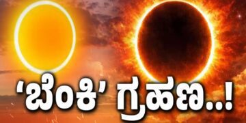 BeFunky collage 2026 02 17T110258.824