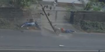 BeFunky collage 2026 02 17T112655.707