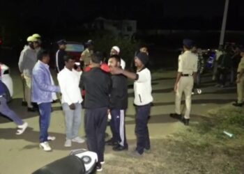 BeFunky collage 2026 02 17T141450.644