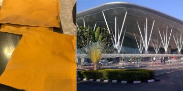 BeFunky collage 2026 02 17T143028.930