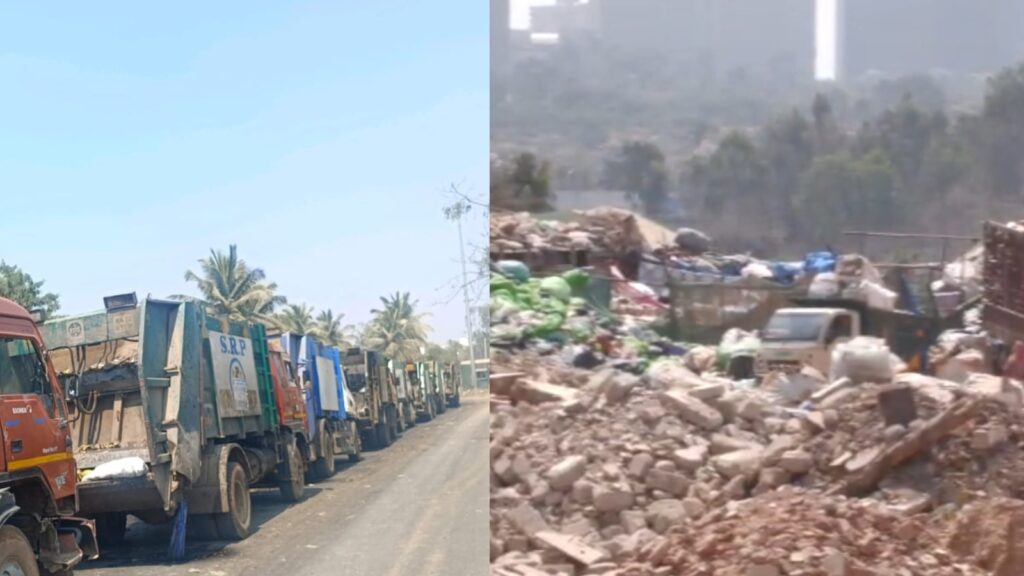 BeFunky collage 2026 02 18T131545.597