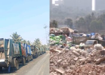 BeFunky collage 2026 02 18T131545.597