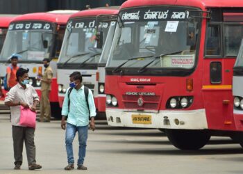 BeFunky collage 2026 02 19T150929.380