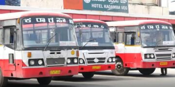 BeFunky collage 2026 02 19T161722.968