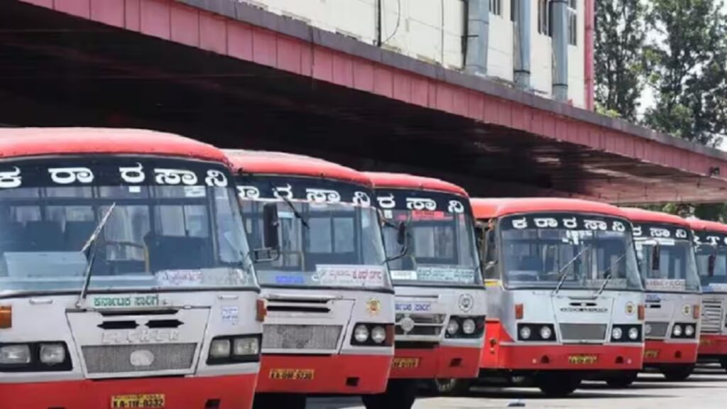 BeFunky collage 2026 02 19T165747.920