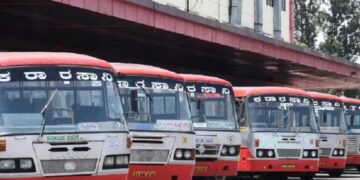 BeFunky collage 2026 02 19T165747.920