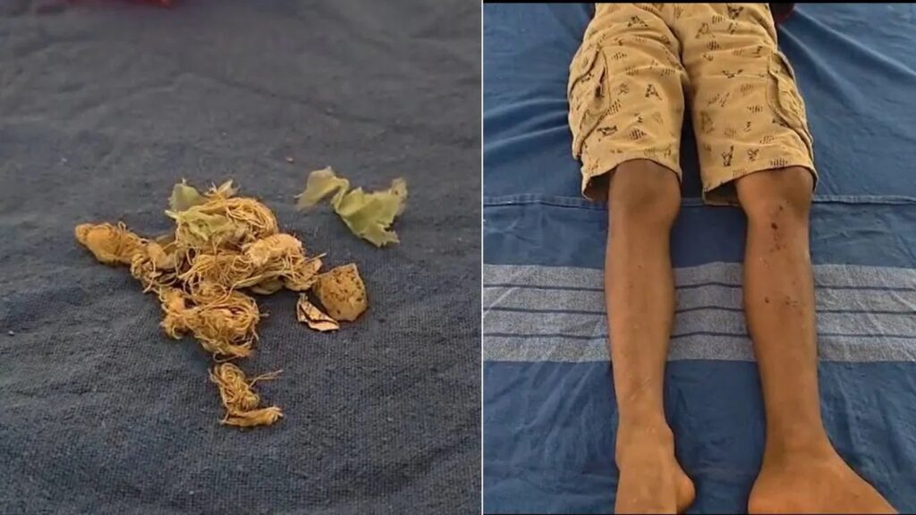 BeFunky collage 2026 02 19T184704.365