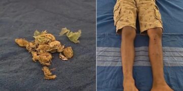 BeFunky collage 2026 02 19T184704.365