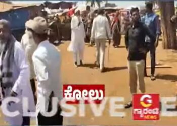 BeFunky collage 2026 02 20T131837.934