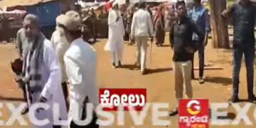 BeFunky collage 2026 02 20T131837.934