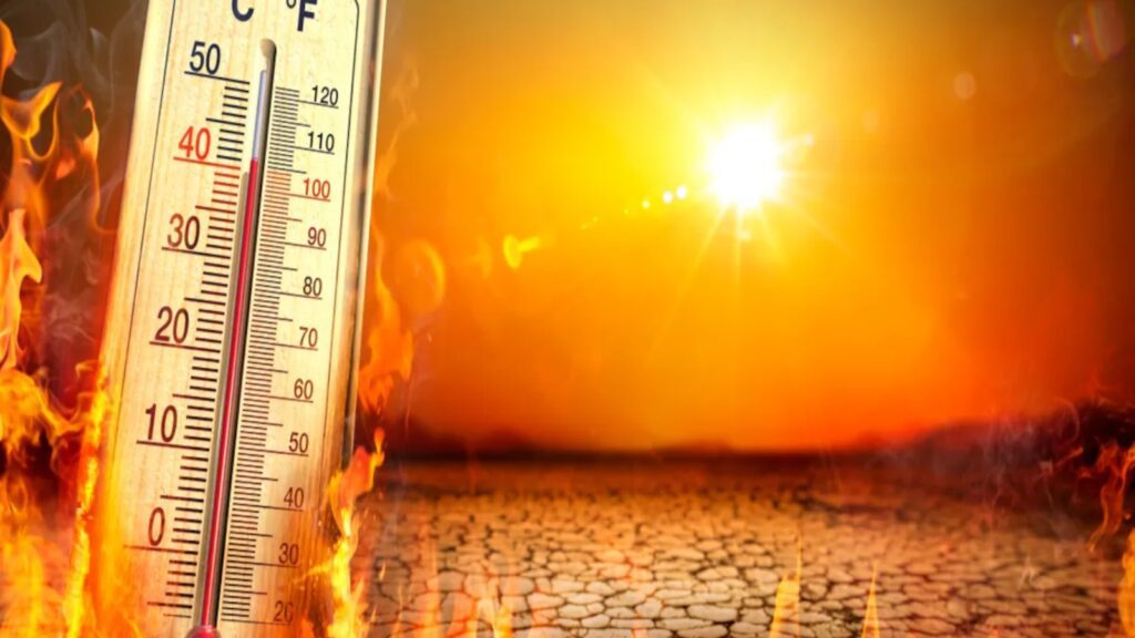 BeFunky collage 2026 02 21T071125.187