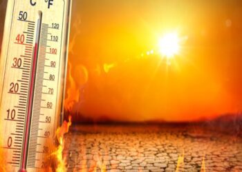 BeFunky collage 2026 02 21T071125.187