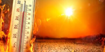 BeFunky collage 2026 02 21T071125.187