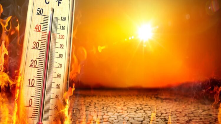 BeFunky collage 2026 02 21T071125.187