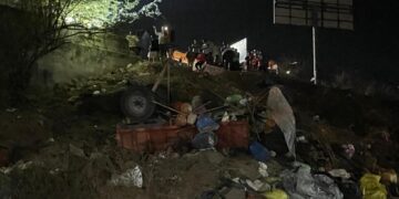 BeFunky collage 2026 02 21T084451.712