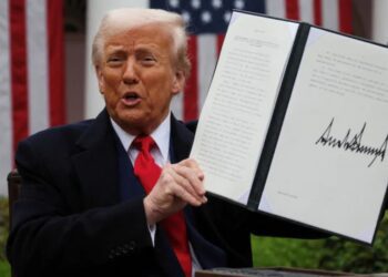 BeFunky collage 2026 02 21T095044.888