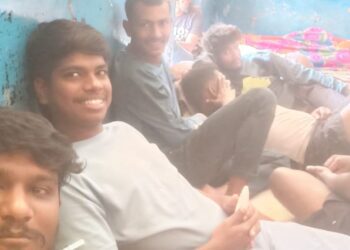 BeFunky collage 2026 02 21T114023.961