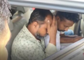 BeFunky collage 2026 02 22T104307.905