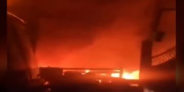 BeFunky collage 2026 02 22T112135.569