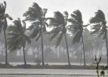 BeFunky collage 2026 02 22T121147.041