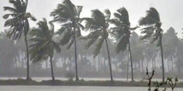 BeFunky collage 2026 02 22T121147.041