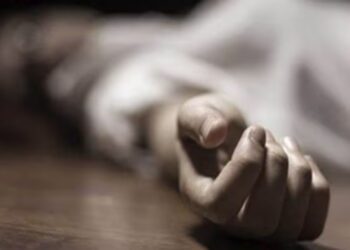 BeFunky collage 2026 02 22T134748.193