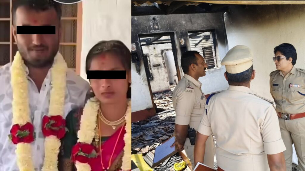 BeFunky collage 2026 02 22T154036.770