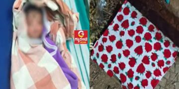 BeFunky collage 2026 02 23T083851.408