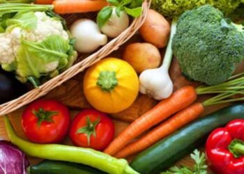 BeFunky collage 2026 02 23T130204.959