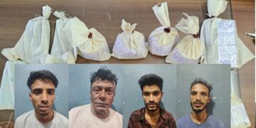 BeFunky collage 2026 02 24T073914.572