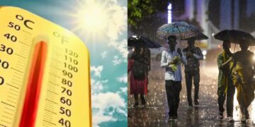 BeFunky collage 2026 02 25T073941.174