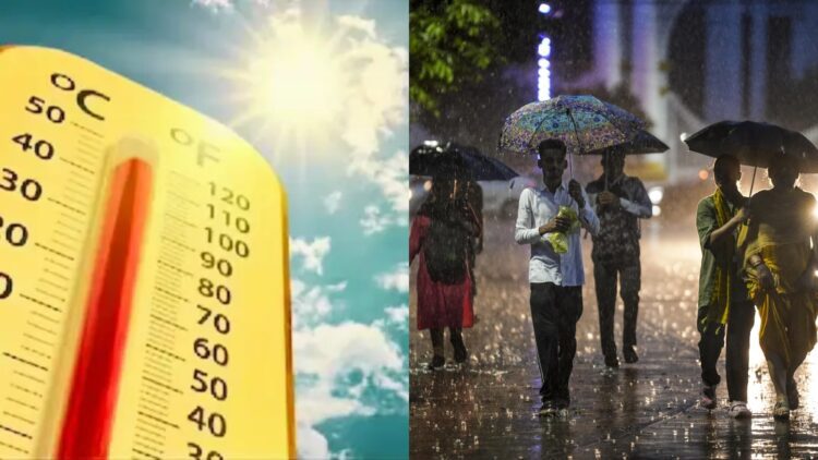 BeFunky collage 2026 02 25T073941.174