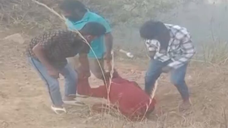 BeFunky collage 2026 02 25T085142.777