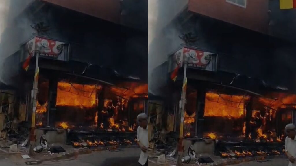 BeFunky collage 2026 02 28T173902.034