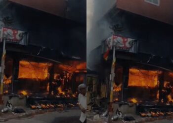 BeFunky collage 2026 02 28T173902.034