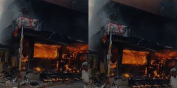 BeFunky collage 2026 02 28T173902.034