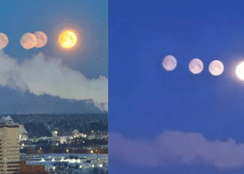 Untitled design 2026 02 02T113542.176