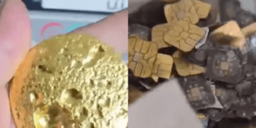 Untitled design 2026 02 02T175249.672