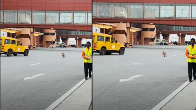 Untitled design 2026 02 03T112243.183