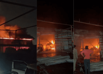 Untitled design 2026 02 05T082734.319