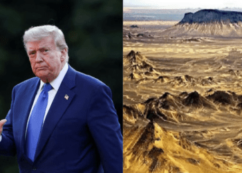 Untitled design 2026 02 06T162300.247