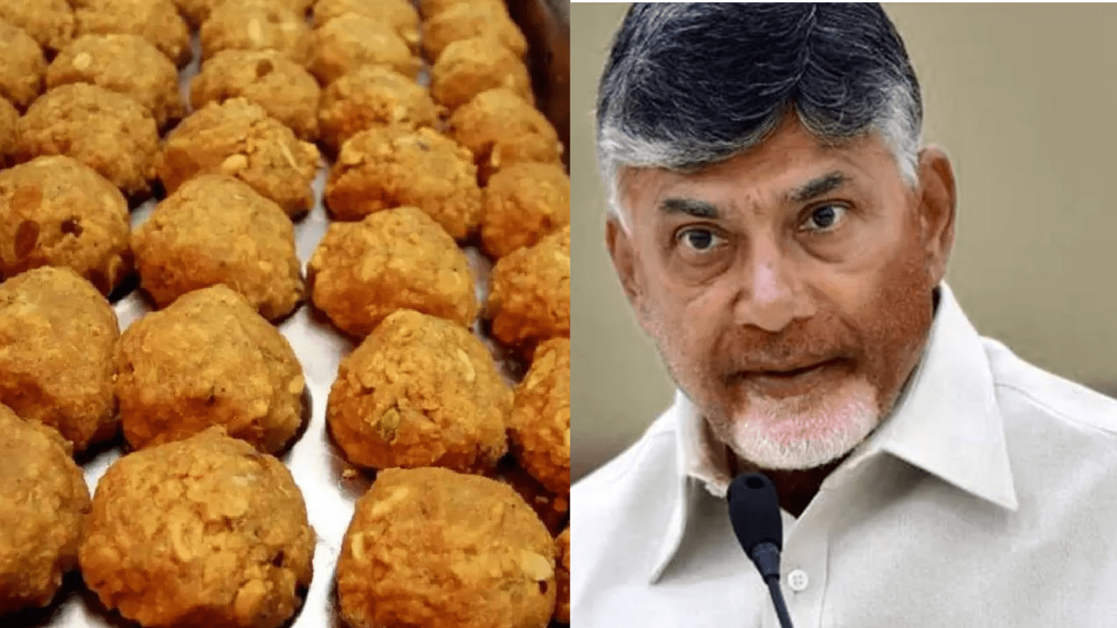 ತಿರುಪತಿ ಲಡ್ಡು ವಿವಾದ: ಬಾತ್‌ರೂಮ್ ಕೆಮಿಕಲ್ ಬಳಸಿ ತುಪ್ಪ ತಯಾರಿ-ಚಂದ್ರಬಾಬು ನಾಯ್ಡು