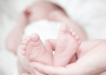 Untitled design 2026 02 07T203624.022