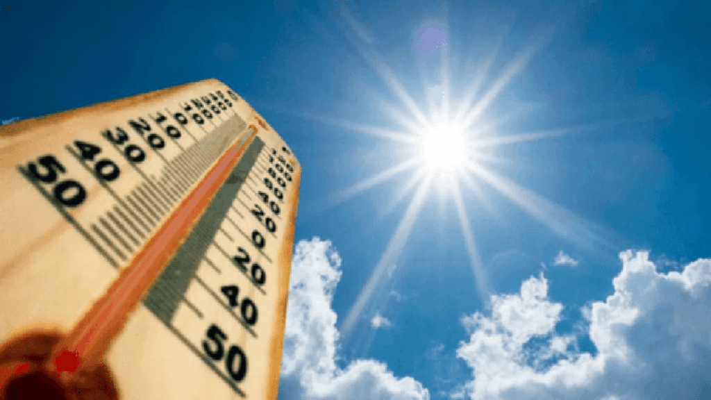 Untitled design 2026 02 08T073601.297