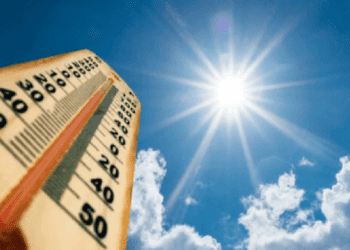 Untitled design 2026 02 08T073601.297