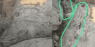 Untitled design 2026 02 08T121454.238