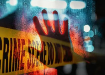 Untitled design 2026 02 08T144212.078